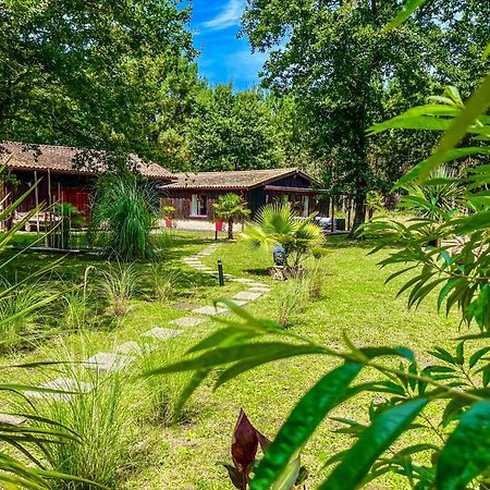 Hacienda De La Canopee Avec Piscine Chauffee Au Sel Hourtin Exterior foto