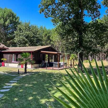 Hacienda De La Canopee Avec Piscine Chauffee Au Sel Hourtin Exterior foto