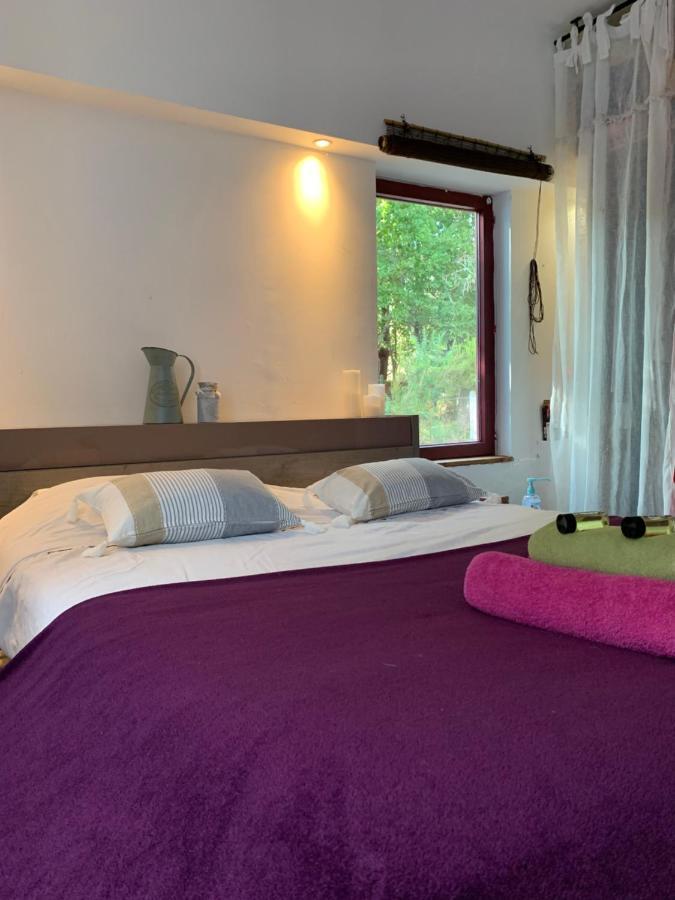 Hacienda De La Canopee Avec Piscine Chauffee Au Sel Hourtin Exterior foto