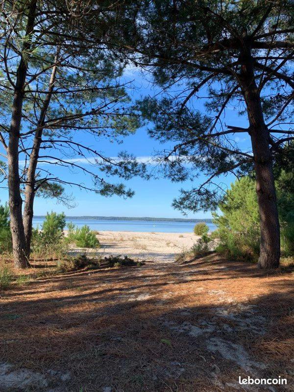 Hacienda De La Canopee Avec Piscine Chauffee Au Sel Hourtin Exterior foto