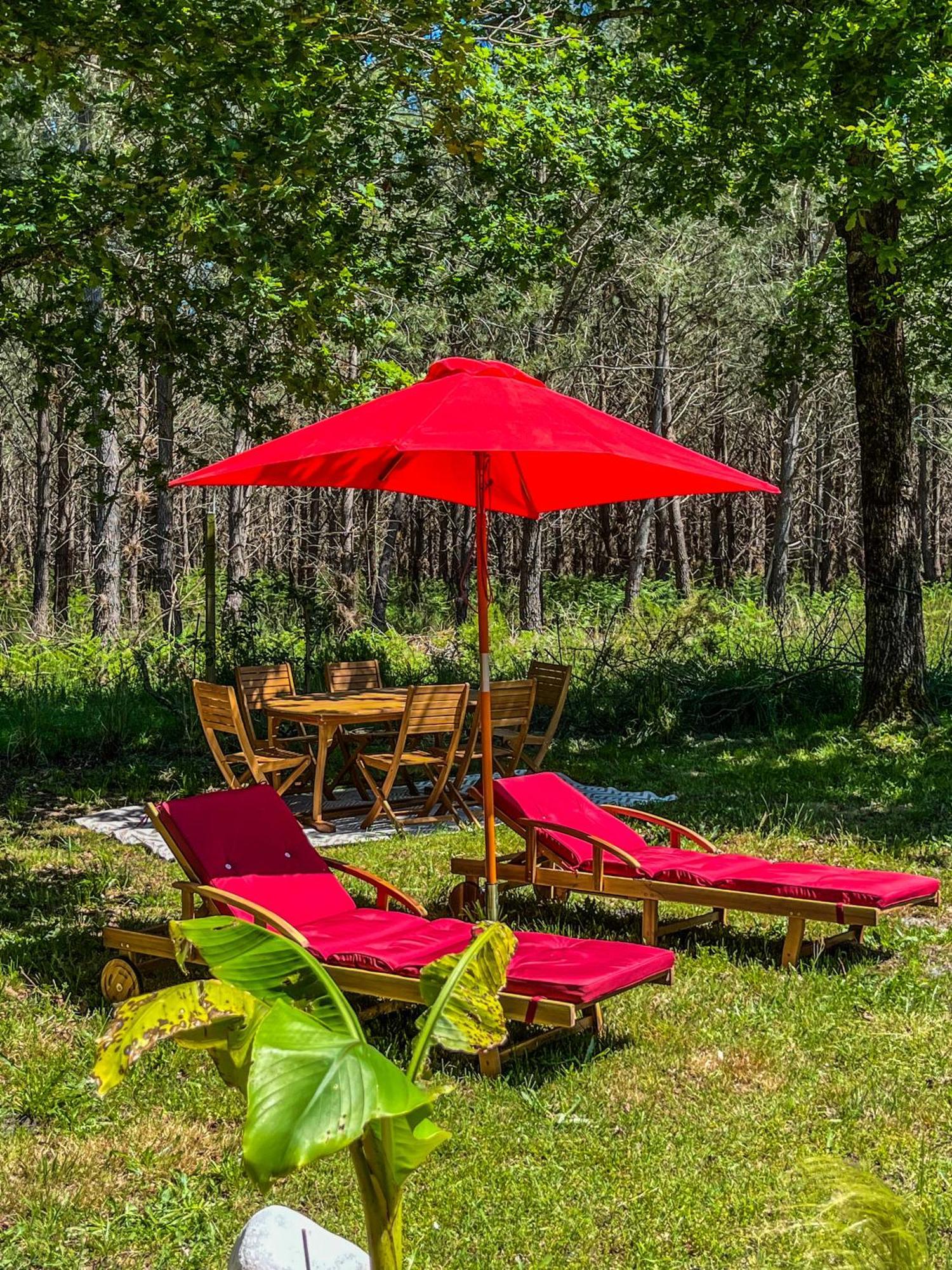 Hacienda De La Canopee Avec Piscine Chauffee Au Sel Hourtin Exterior foto