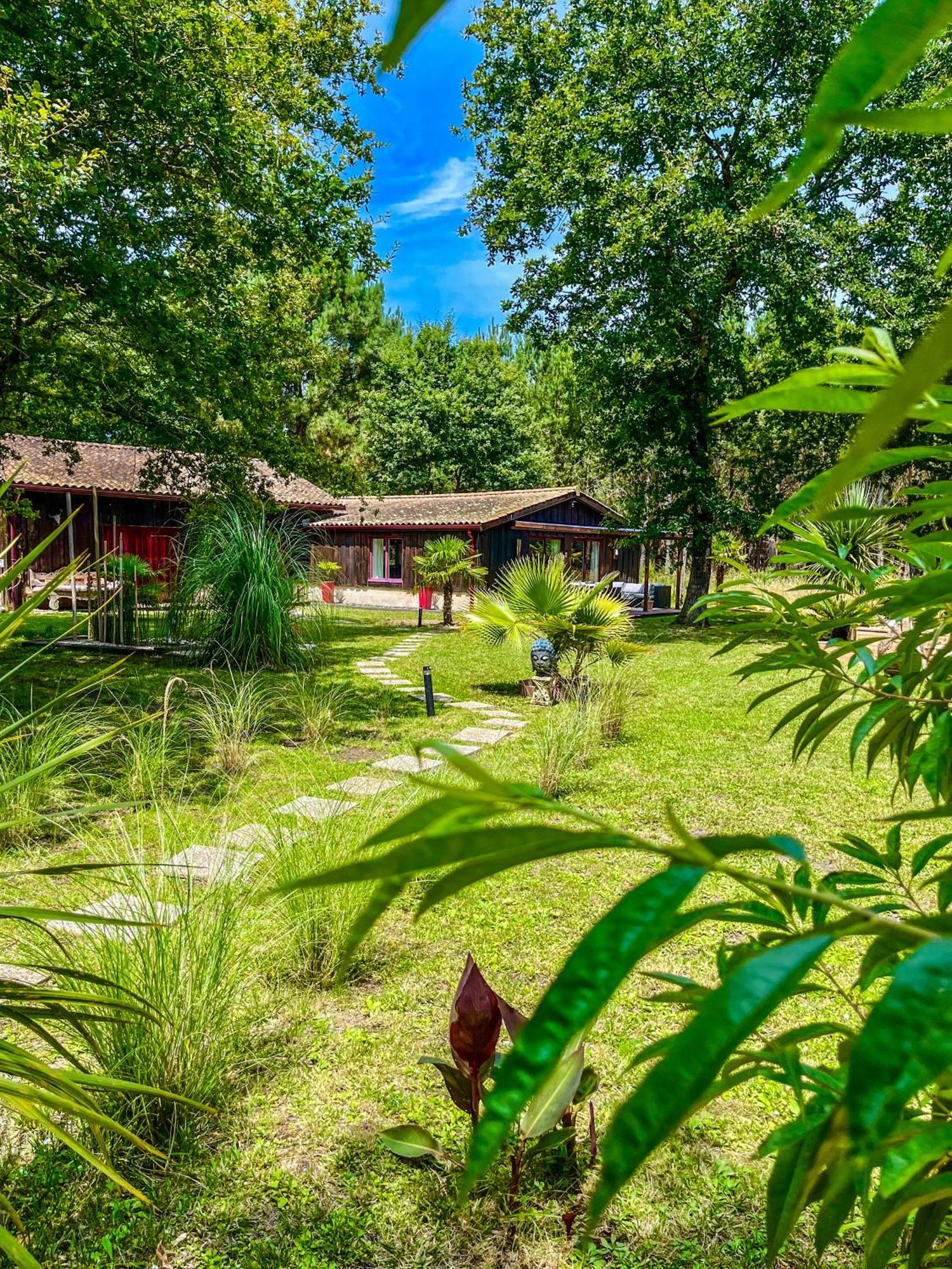 Hacienda De La Canopee Avec Piscine Chauffee Au Sel Hourtin Exterior foto